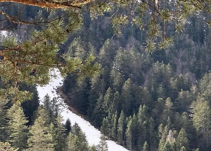 Le Flocon דירה קאוטרט