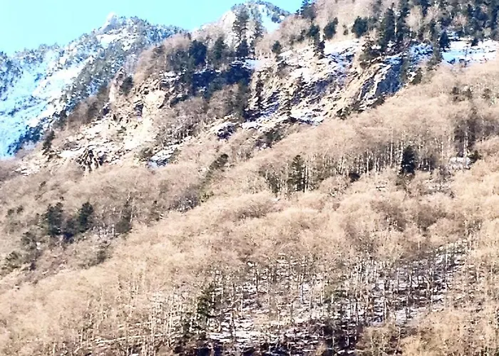 דירה Le Flocon קאוטרט