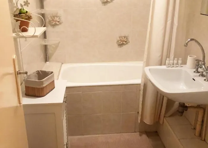 Le Flocon דירה *